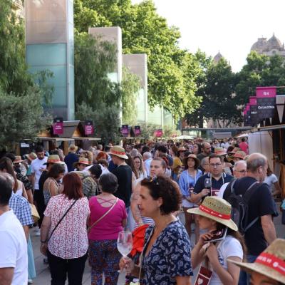 Reus Vi Fotos 2022 13