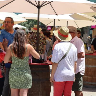 Reus Vi Fotos 2022 16