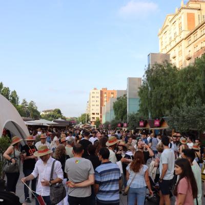 Reus Vi Fotos 2022 7