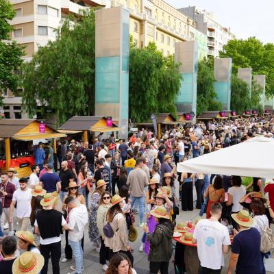 Reus Vi Fotos 2023 18