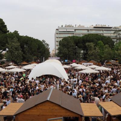 Reus Vi Fotos 2024 14