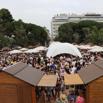 Reus Vi Fotos 2024 16