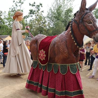 Reus Vi Fotos 2024 4