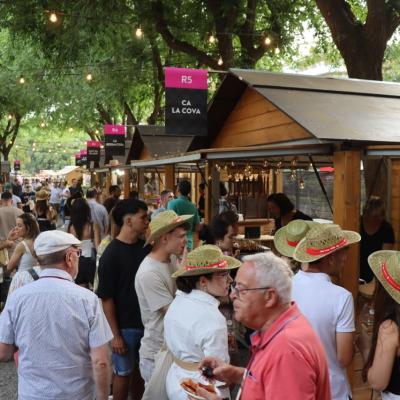 Reus Vi Fotos 2024 7