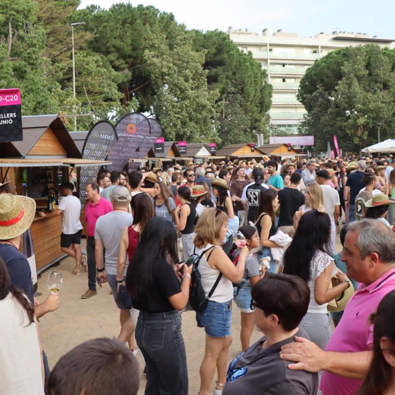 Reus Vi Fotos 2024 9